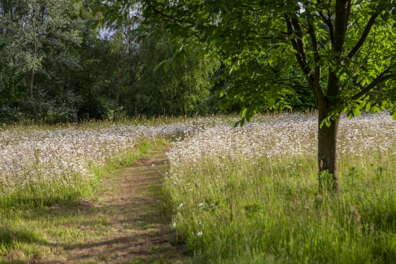 Patchings Art Centre